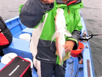 鯛紅丸 釣果