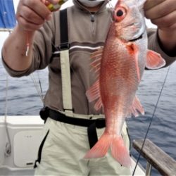 鯛紅丸 釣果