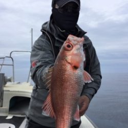 鯛紅丸 釣果