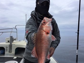 鯛紅丸 釣果