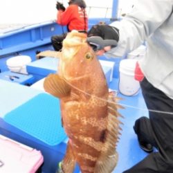 鯛紅丸 釣果