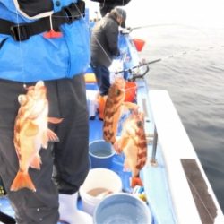 鯛紅丸 釣果