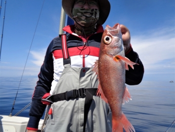 鯛紅丸 釣果