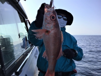 鯛紅丸 釣果