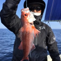 鯛紅丸 釣果