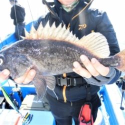 鯛紅丸 釣果