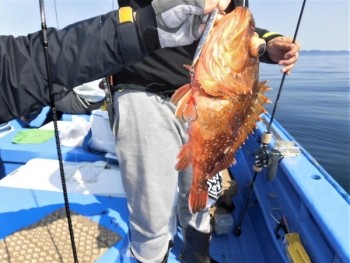 鯛紅丸 釣果