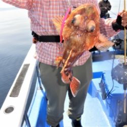 鯛紅丸 釣果