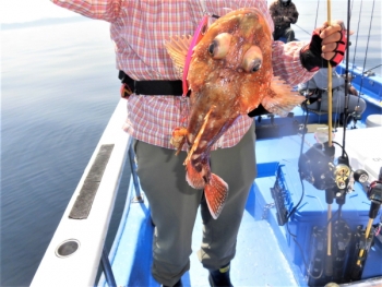 鯛紅丸 釣果