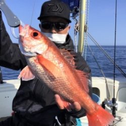鯛紅丸 釣果