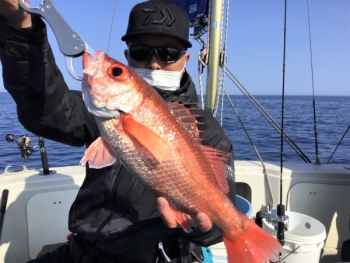 鯛紅丸 釣果