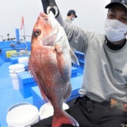 鯛紅丸 釣果