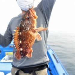 鯛紅丸 釣果