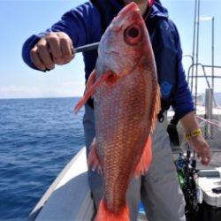 鯛紅丸 釣果