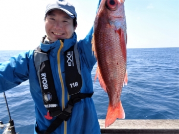 鯛紅丸 釣果