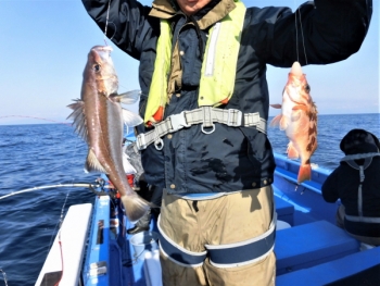 鯛紅丸 釣果