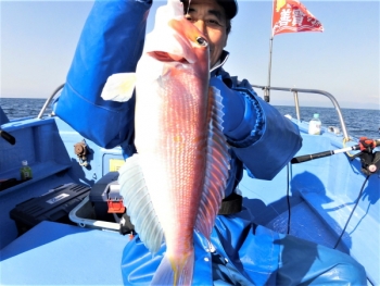 鯛紅丸 釣果