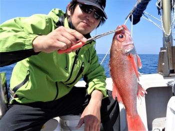 鯛紅丸 釣果