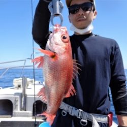 鯛紅丸 釣果