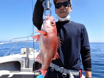 鯛紅丸 釣果