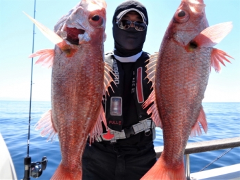 鯛紅丸 釣果