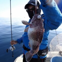 鯛紅丸 釣果