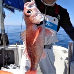 鯛紅丸 釣果