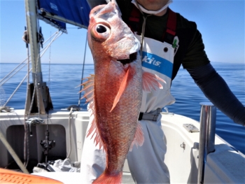 鯛紅丸 釣果