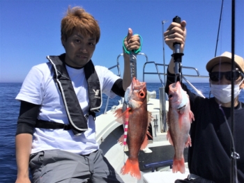 鯛紅丸 釣果