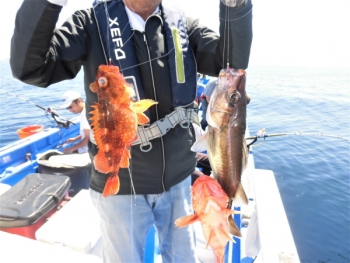 鯛紅丸 釣果