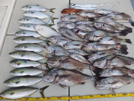 Hit Rush(ヒット ラッシュ） 釣果…