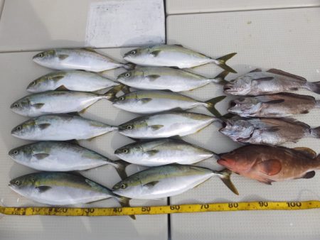 Hit Rush(ヒット ラッシュ） 釣果…