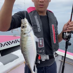 釣船 浦島太郎 釣果