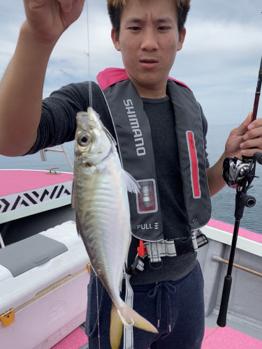 釣船 浦島太郎 釣果
