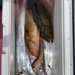 釣船 浦島太郎 釣果