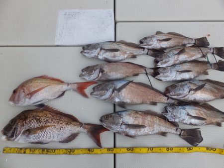 Hit Rush(ヒット ラッシュ） 釣果…