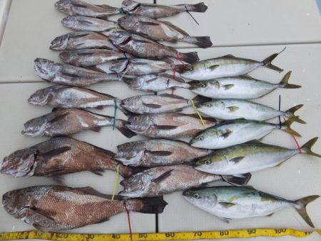 Hit Rush(ヒット ラッシュ） 釣果…