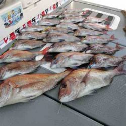 遊漁船 セトマリン 釣果