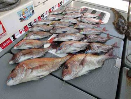 遊漁船 セトマリン 釣果