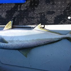 海龍丸(福岡) 釣果