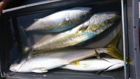 海龍丸(福岡) 釣果