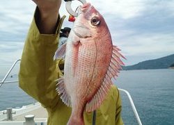 愛裕南丸 釣果