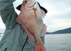 愛裕南丸 釣果