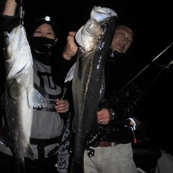 ルアー船マヒマヒ 釣果