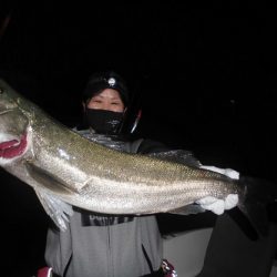 ルアー船マヒマヒ 釣果