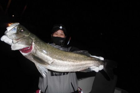 ルアー船マヒマヒ 釣果