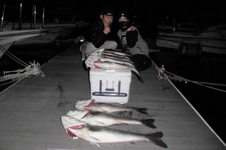 ルアー船マヒマヒ 釣果