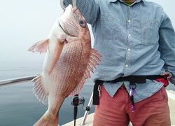 愛裕南丸 釣果