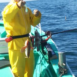 モンロー号 釣果