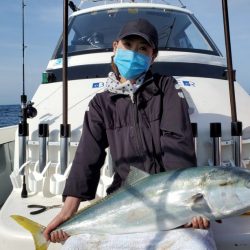 ブルーピア 釣果